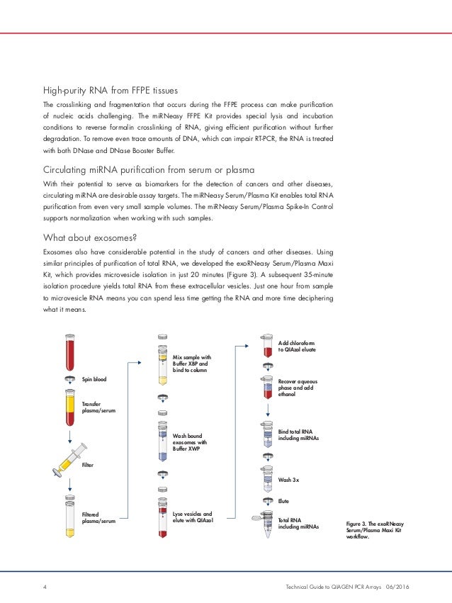 solution q for pcr Technical PCR Guide the Download Arrays to Qiagen Guide solution q for pcr Technical PCR Guide the Download Arrays to Qiagen Guide