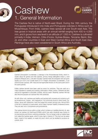 Cashew (Anacardium occidentale L.) belongs to the Anacardiaceae family, which in-
cludes about 60 genera and 400 species, among mango (Mangifera indica L.) and
pistachio (Pistacia vera L.) are also included. Cashew trees are evergreen and can grow
rapidly up to 20 m, but usually reach 8-12 m height. Anacardium occidentale L. is an
andromonoeic species, with male and hermaphrodite flowers on the same plant and in
the same panicle.
Edible cashew kernels have been used as snack for centuries. They are used as a
major ingredient in sweets and cooking, particularly in Asian cuisine. Cashews are also
used as an ingredient in chocolate, cookies, and ice cream. Recently, cashew milk has
also become popular as a lactose-free milk substitute.
As with other nuts, cashews are healthy and packed with minerals and nutrients such
as phosphorous, copper, and magnesium, not commonly found in other foods. Ca-
shews, along with pistachios, have the lowest fat content among nuts. Almost 80%
of the fat in cashews is unsaturated, which helps maintain healthy cholesterol levels.
They are also rich in tocopherols and phytosterols.
The cashew kernel occurs within a shell, which contains an inedible phenolic oil, also
known as cashew nut shell liquid (CNSL) which has wide industrial uses thanks to
its polymerizing and friction-reducing properties. The nut hangs under an edible false
fruit called the cashew apple, which is very high in Vitamin C. The fruit can be eaten
fresh, mixed in fruit salads, or made into juice, which can be distilled to produce al-
coholic drink.
The Cashew Nut is native of North-east Brazil. During the 16th century, the
Portuguese introduced it into India and Portuguese colonies in Africa such as
Mozambique. From India, cashew trees spread all over South-east Asia. The
tree grows in tropical areas with an annual rainfall ranging from 400 to 4,000
mm, and it grows from sea level to an altitude of 1,000 m. Cashew is cultivated
primarily in India, Vietnam, Côte d’Ivoire, Guinea-Bissau, Tanzania, Benin, Bra-
zil, and other countries in East and West Central Africa and South East Asia.
Plantings have also been established in South Africa and Australia.
Cashew
1. General Information 1
Cashew/GeneralInformation
 