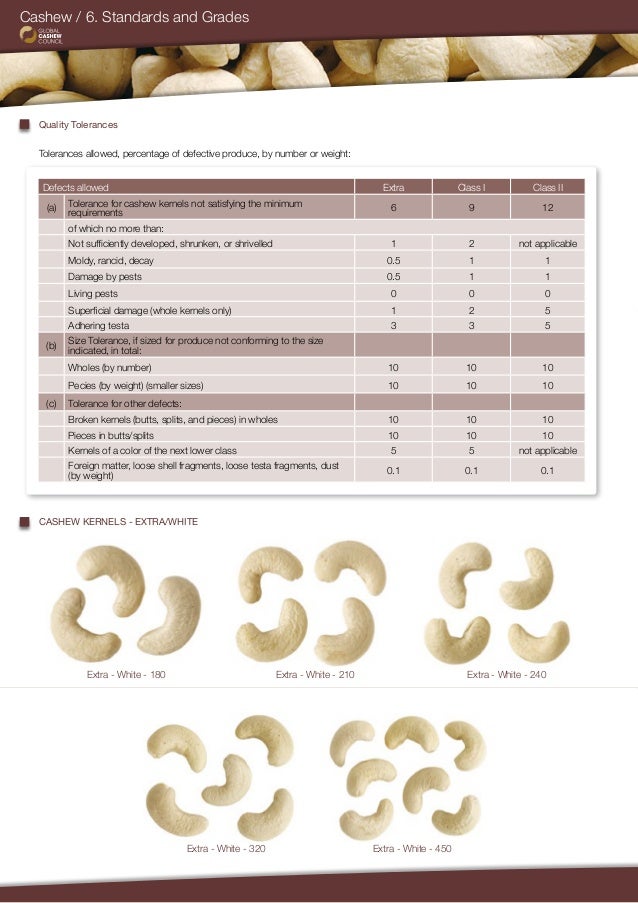 Cashew Size Chart