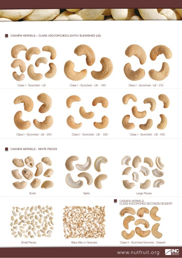 Cashew Technical Information Kit