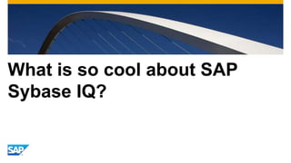 What is so cool about SAP
Sybase IQ?
 