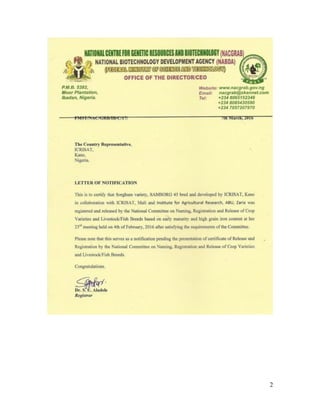 Technical report on two Sorghum varieties (12KNICSV-188 and 12KNICSV-22) developed in Nigeria