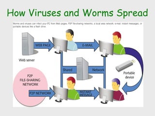 How Viruses and Worms Spread
 