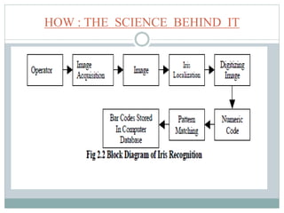 HOW : THE SCIENCE BEHIND IT
 