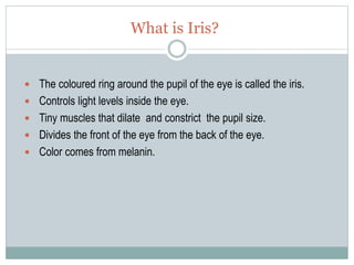 What is Iris?
 The coloured ring around the pupil of the eye is called the iris.
 Controls light levels inside the eye.
 Tiny muscles that dilate and constrict the pupil size.
 Divides the front of the eye from the back of the eye.
 Color comes from melanin.
 