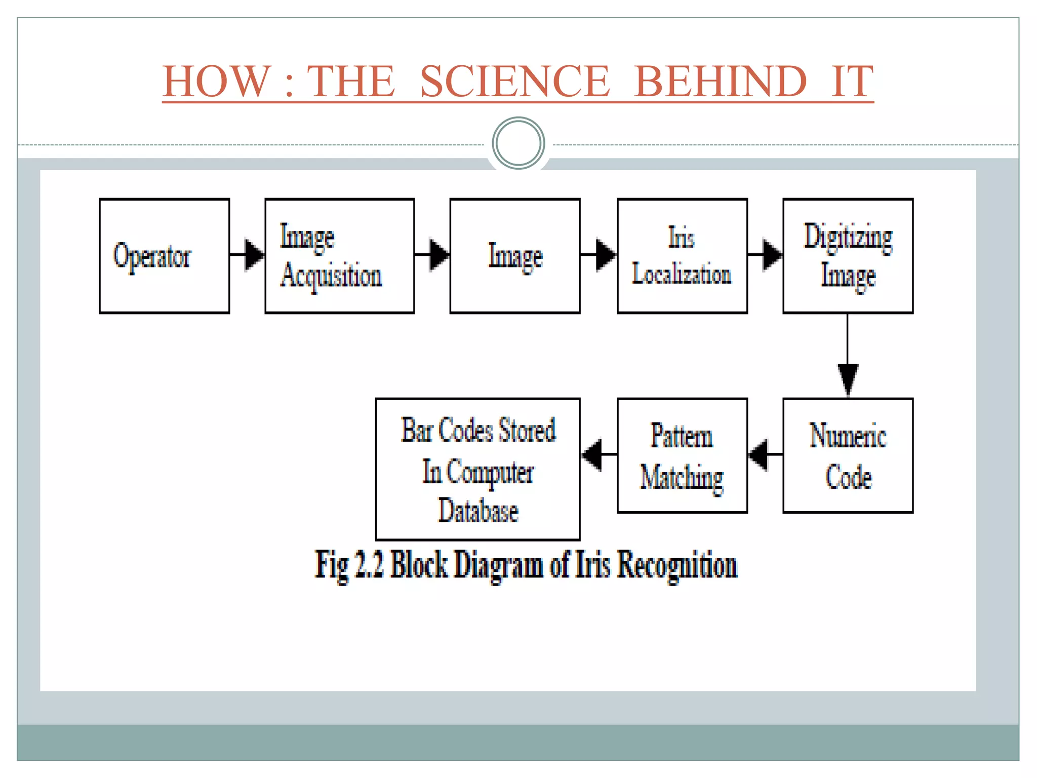 HOW : THE SCIENCE BEHIND IT
 