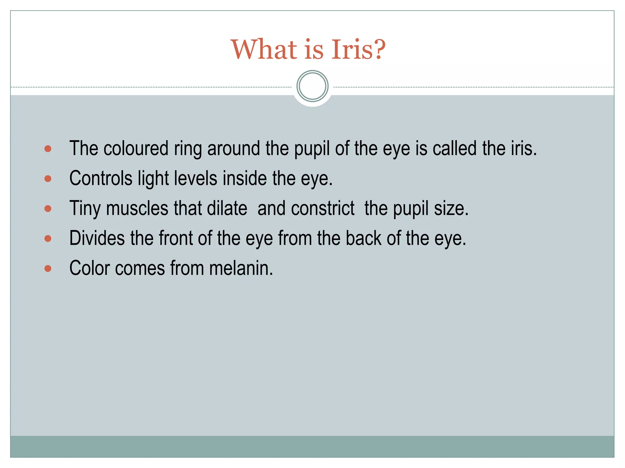 What is Iris?
 The coloured ring around the pupil of the eye is called the iris.
 Controls light levels inside the eye.
 Tiny muscles that dilate and constrict the pupil size.
 Divides the front of the eye from the back of the eye.
 Color comes from melanin.
 