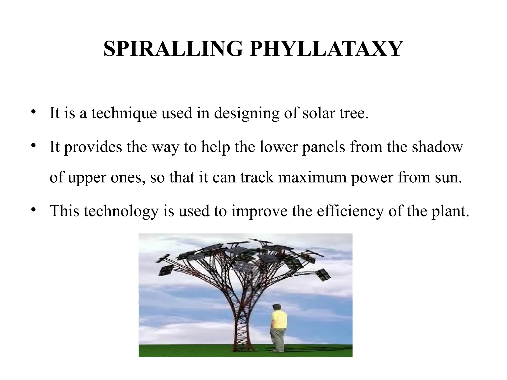 SPIRALLING PHYLLATAXY
• It is a technique used in designing of solar tree.
• It provides the way to help the lower panels from the shadow
of upper ones, so that it can track maximum power from sun.
• This technology is used to improve the efficiency of the plant.
 