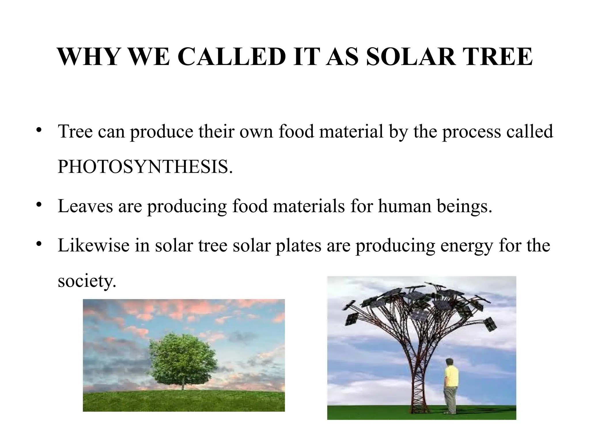 WHY WE CALLED IT AS SOLAR TREE
• Tree can produce their own food material by the process called
PHOTOSYNTHESIS.
• Leaves are producing food materials for human beings.
• Likewise in solar tree solar plates are producing energy for the
society.
 
