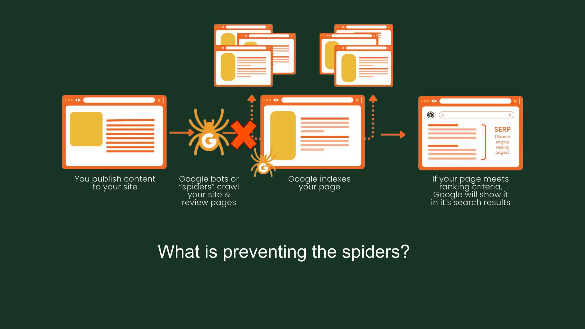What is preventing the spiders?
 