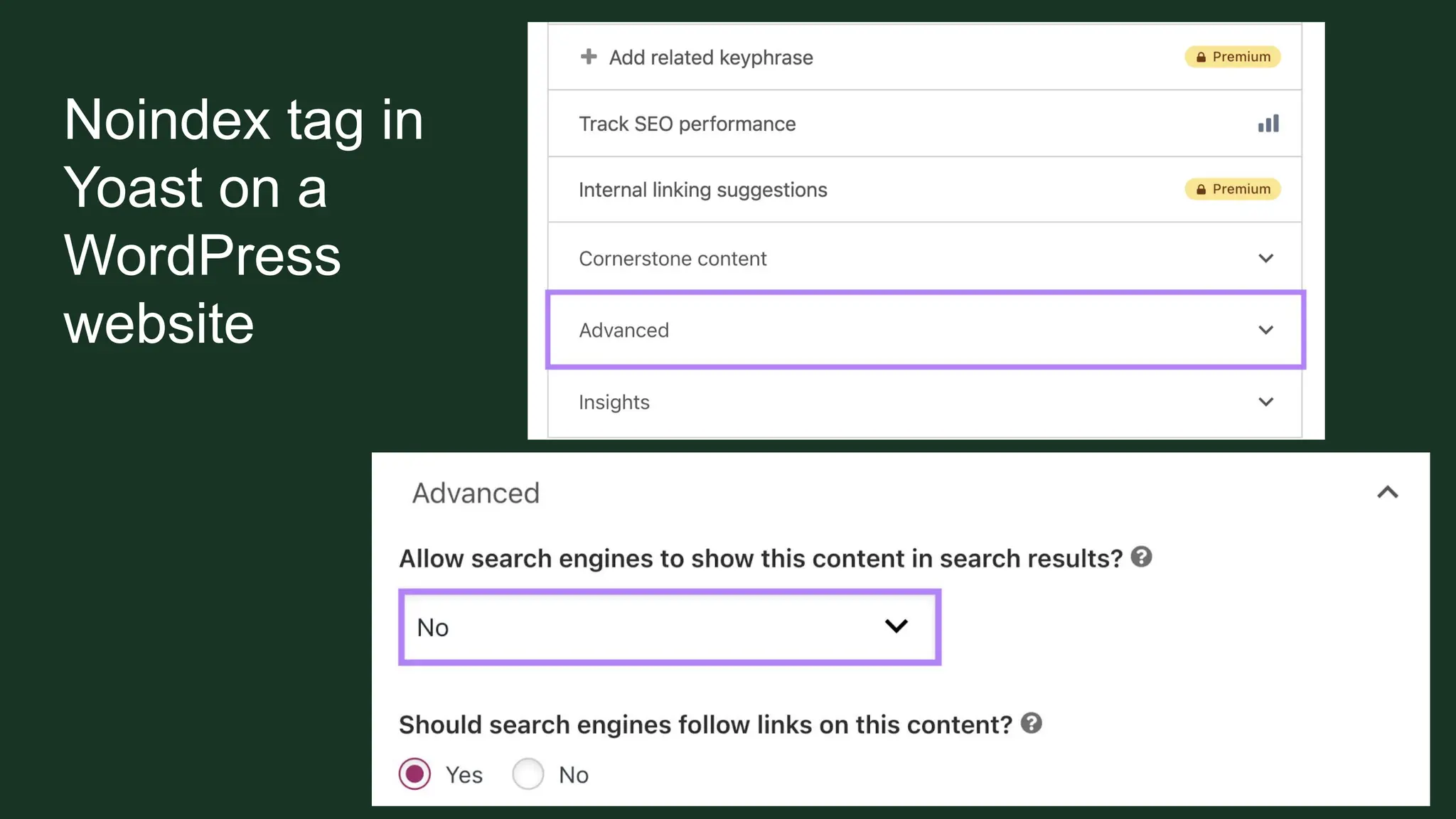 Noindex tag in
Yoast on a
WordPress
website
 