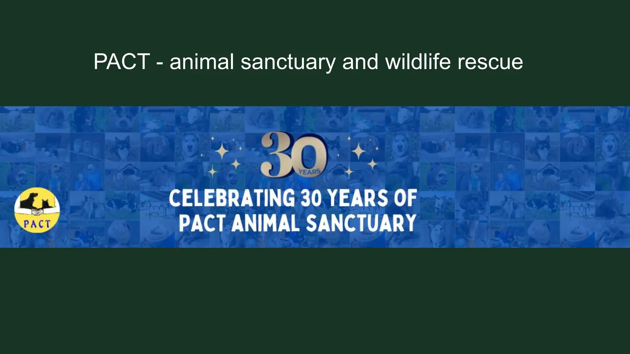 PACT - animal sanctuary and wildlife rescue
 