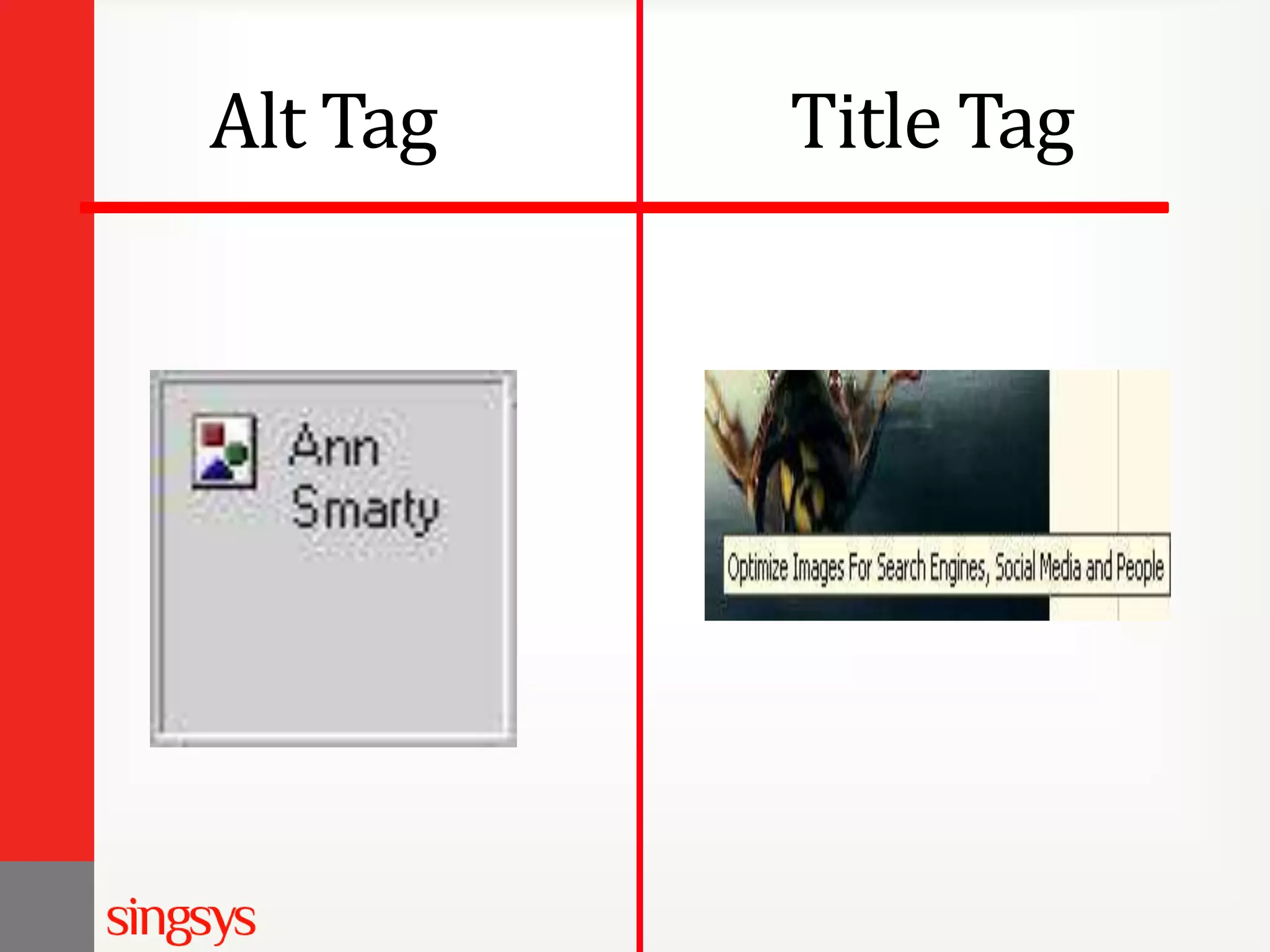 Alt Tag Title Tag 