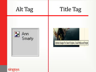 Alt Tag Title Tag
 