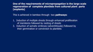 Adventitiously Technical_Session_1_Bamboo_Tissue_culture_and_Micropropagation_Dr._EM ...