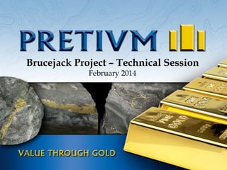 Brucejack Project – Technical Session
February 2014

 