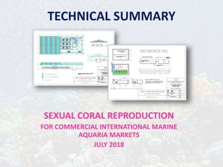 TECHNICAL SUMMARY
SEXUAL CORAL REPRODUCTION
FOR COMMERCIAL INTERNATIONAL MARINE
AQUARIA MARKETS
JULY 2018
 
