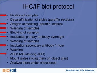 IHC/IF blot protocol
•   Fixation of samples
•   Deparaffinization of slides (paraffin sections)
•   Antigen unmasking (paraffin section)
•   Washing of samples
•   Blocking of samples
•   Incubation primary antibody overnight
•   Washing of samples
•   Incubation secondary antibody 1 hour
•   Washing
•   ABC/DAB staining (IHC)
•   Mount slides (fixing them on object glas)
•   Analyze them under microscope
 