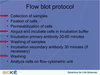 Flow blot protocol
• Collection of samples
• Fixation of cells
• Permeabilization of cells
• Aliquot and incubate cells in incubation buffer
• Incubation primary antibody 30-60 minutes
• Washing of samples
• Incubation secondary antibody 30 minutes (if
  necessary)
• Washing
• Analyze cells on flow cytometric unit
 