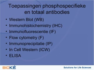 Toepassingen phosphospecifieke
          en totaal antibodies
•   Western Blot (WB)
•   Immunohistochemistry (IHC)
•   Immunofluorescentie (IF)
•   Flow cytometry (F)
•   Immunoprecipitatie (IP)
•   In Cell Western (ICW)
•   ELISA
 