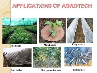 Shed Nets Mulch mats Crop covers
Anti hail nets Bird protection nets Fishing nets
 