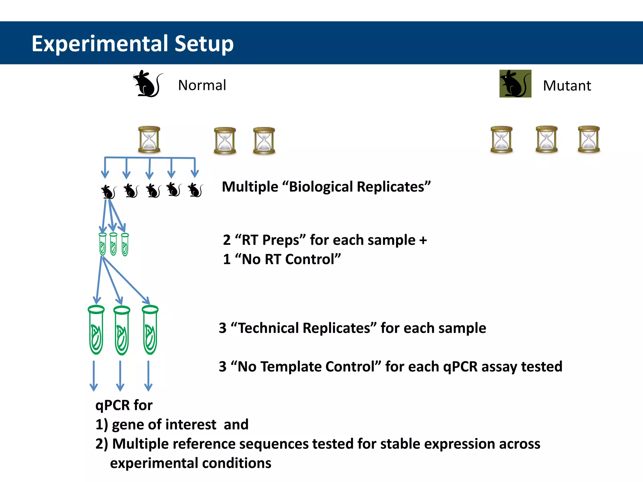 Technical Tips for qPCR | PPTX