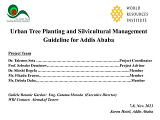 Urban Tree Planting and Silvicultural Management
Guideline for Addis Ababa
Project Team
Dr. Talemos Seta …………………………………………..……………..Project Coordinator
Prof. Sebsebe Demissew………………………….………………………Project Advisor
Dr. Sileshi Degefa ………………………………………………..…………..….Member
Mr. Fikadu Erenso………………………………………………………….…...Member
Mr. Debela Daba………………………………………………………………….Member
Gullele Botanic Garden: Eng. Gutama Moroda (Executive Director)
WRI Contact: Alemakef Tassew
7-8, Nov. 2023
Saron Hotel, Addis Ababa
 