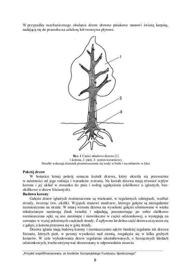 Techniktechnologiidrewna 31132 O104u