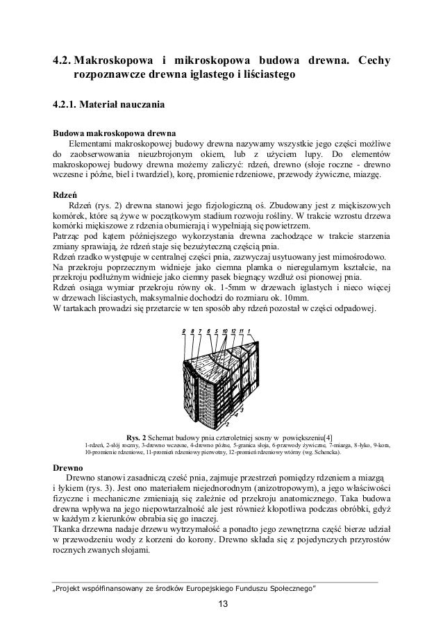 Techniktechnologiidrewna 31132 O104u