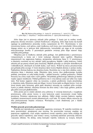 technik-weterynarii-2-pdf