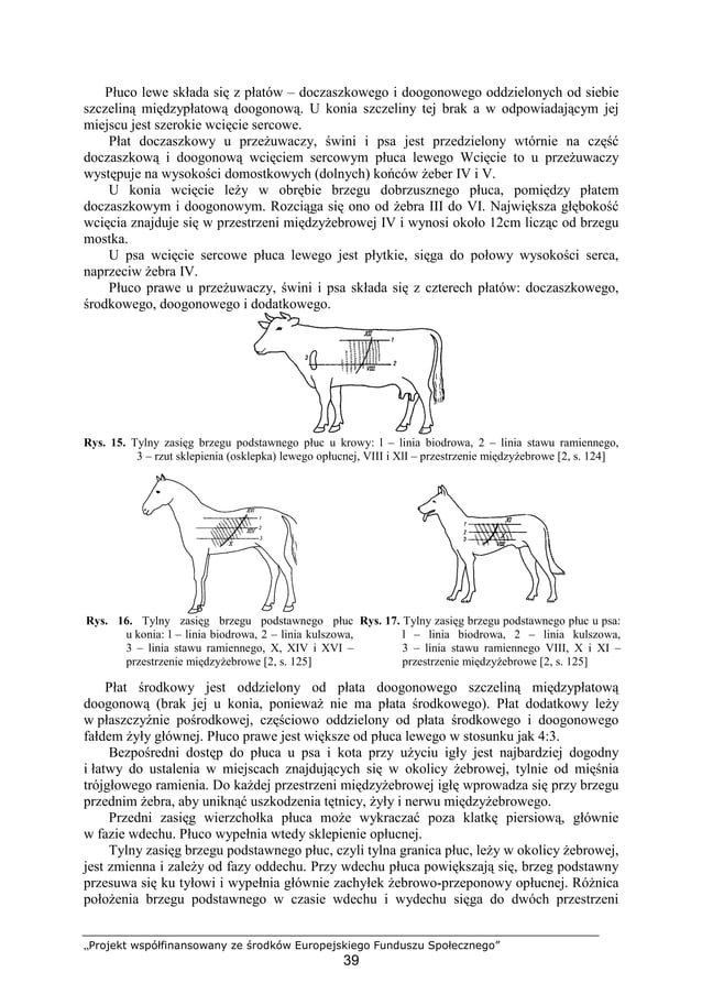 Technik.weterynarii 4 | PDF | Veterinary Medicine | Pets