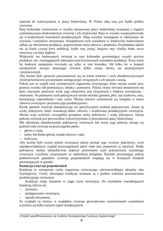 „Projekt współfinansowany ze środków Europejskiego Funduszu Społecznego”
9
materiał do wykorzystania w pracy hodowlanej. W Polsce taką rasą jest bydło polskie
czerwone.
Rasy kulturalne wytworzono w wyniku intensywnej pracy hodowlanej związanej z ciągłym
systematycznym doskonaleniem zwierząt i ich środowiska. Rasy te wysoko wyspecjalizowały
się w konkretnych kierunkach produkcyjnych. Mają wysokie wymagania w odniesieniu do
Ŝywienia i warunków utrzymania. Niespełnienie tych warunków w środowisku hodowlanym
odbija się obniŜeniem produkcji, pogorszeniem stanu zdrowia i płodności. Przykładami takich
ras są konie czystej krwi arabskiej, bydło rasy jersey, krajowe rasy wielkie białe, owce
merynosy czy kury leghorn.
Większość ras hodowanych zwierząt to rasy kulturalne gwarantujące wysoki poziom
produkcji, ale i wymagających zabezpieczenia kosztownych warunków produkcji. Przez wiele
lat hodowla europejska rozwijała się tylko w tym kierunku. Od kilku lat w krajach
europejskich zaczęto dostrzegać równieŜ dobre strony chowu ras prymitywnych
i przejściowych.
Aby moŜna było sprawnie porozumiewać się na temat wartości i cech charakterystycznych
zwierząt konieczne jest poznanie szeregu pojęć związanych z ich opisem i oceną.
Pokrój jest to zespół cech zewnętrznych organizmu zwierzęcego, które moŜna ocenić przy
pomocy wzroku lub pomocniczo, dotyku i pomiarów. Pokrój zwany równieŜ eksterierem ma
duŜe znaczenie poniewaŜ wiele jego elementów jest związanych z budową wewnętrzną –
interierem. Na podstawie cech pokrojowych moŜna określić gatunek, płeć, typ uŜytkowy, rasę,
konstytucję, usposobienie i inne cechy. MoŜna równieŜ zorientować się wstępnie w stanie
zdrowia zwierzęcia i poziomie jego produkcyjności.
KaŜdy gatunek zwierząt charakteryzuje się specyficznymi cechami pokrojowymi. Znane są
cechy pokrojowe, które warunkują dobre zdrowie i oczekiwaną produkcyjność zwierzęcia.
MoŜna więc wyróŜnić szczególnie poŜądane cechy pokrojowe i wady pokrojowe. Ocena
pokroju zwierząt jest powszechnie wykorzystywana w prowadzeniu pracy hodowlanej.
Dla określenia charakterystyki pokrojowej zwierzęcia lub oceny jego pokroju stosuje się
podział ciała zwierząt na poszczególne partie:
− głowa z szyją,
− tułów lub kłoda (przód, środek tułowia i zad),
− kończyny.
Aby moŜna było ocenić pokrój zwierzęcia naleŜy poznać jego wzorzec pokrojowy, czyli
najodpowiedniejszy wygląd poszczególnych partii ciała oraz poprawnie je nazywać. Wady
pokrojowe moŜna identyfikować poprzez porównanie cech pokrojowych ocenianego
zwierzęcia z cechami uznawanymi za najbardziej poŜądane. Rysunki prezentujące pokrój
podstawowych gatunków zwierząt gospodarskich znajdują się w kolejnych działach
prezentujących te gatunki.
Kondycja zwierząt gospodarskich
Kondycja to zewnętrzne cechy organizmu zwierzęcego odzwierciedlające aktualny stan
fizjologiczny. Cechy obrazujące kondycję oceniane są z punktu widzenia przeznaczenia
produkcyjnego zwierzęcia.
Kondycja ulega zmianom w ciągu Ŝycia zwierzęcia. Do czynników warunkujących
kondycję zalicza się:
− Ŝywienie,
− pielęgnowanie zwierzęcia,
− sposób utrzymania.
Ze względu na róŜnice w wyglądzie zwierząt spowodowane wymienionymi czynnikami
wyróŜnia się kilka róŜnych typów kondycyjnych.
 