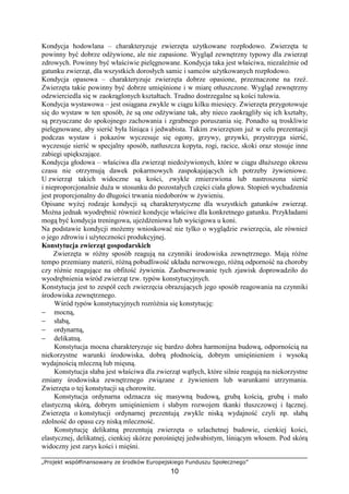 „Projekt współfinansowany ze środków Europejskiego Funduszu Społecznego”
10
Kondycja hodowlana – charakteryzuje zwierzęta uŜytkowane rozpłodowo. Zwierzęta te
powinny być dobrze odŜywione, ale nie zapasione. Wygląd zewnętrzny typowy dla zwierząt
zdrowych. Powinny być właściwie pielęgnowane. Kondycja taka jest właściwa, niezaleŜnie od
gatunku zwierząt, dla wszystkich dorosłych samic i samców uŜytkowanych rozpłodowo.
Kondycja opasowa – charakteryzuje zwierzęta dobrze opasione, przeznaczone na rzeź.
Zwierzęta takie powinny być dobrze umięśnione i w miarę otłuszczone. Wygląd zewnętrzny
odzwierciedla się w zaokrąglonych kształtach. Trudno dostrzegalne są kości tułowia.
Kondycja wystawowa – jest osiągana zwykle w ciągu kilku miesięcy. Zwierzęta przygotowuje
się do wystaw w ten sposób, Ŝe są one odŜywiane tak, aby nieco zaokrągliły się ich kształty,
są przyuczane do spokojnego zachowania i zgrabnego poruszania się. Ponadto są troskliwie
pielęgnowane, aby sierść była lśniąca i jedwabista. Takim zwierzętom juŜ w celu prezentacji
podczas wystaw i pokazów wyczesuje się ogony, grzywy, grzywki, przystrzyga sierść,
wyczesuje sierść w specjalny sposób, natłuszcza kopyta, rogi, racice, skoki oraz stosuje inne
zabiegi upiększające.
Kondycja głodowa – właściwa dla zwierząt niedoŜywionych, które w ciągu dłuŜszego okresu
czasu nie otrzymują dawek pokarmowych zaspokajających ich potrzeby Ŝywieniowe.
U zwierząt takich widoczne są kości, zwykle zmierzwiona lub nastroszona sierść
i nieproporcjonalnie duŜa w stosunku do pozostałych części ciała głowa. Stopień wychudzenia
jest proporcjonalny do długości trwania niedoborów w Ŝywieniu.
Opisane wyŜej rodzaje kondycji są charakterystyczne dla wszystkich gatunków zwierząt.
MoŜna jednak wyodrębnić równieŜ kondycje właściwe dla konkretnego gatunku. Przykładami
mogą być kondycja treningowa, ujeŜdŜeniowa lub wyścigowa u koni.
Na podstawie kondycji moŜemy wnioskować nie tylko o wyglądzie zwierzęcia, ale równieŜ
o jego zdrowiu i uŜyteczności produkcyjnej.
Konstytucja zwierząt gospodarskich
Zwierzęta w róŜny sposób reagują na czynniki środowiska zewnętrznego. Mają róŜne
tempo przemiany materii, róŜną pobudliwość układu nerwowego, róŜną odporność na choroby
czy róŜnie reagujące na obfitość Ŝywienia. Zaobserwowanie tych zjawisk doprowadziło do
wyodrębnienia wśród zwierząt tzw. typów konstytucyjnych.
Konstytucja jest to zespół cech zwierzęcia obrazujących jego sposób reagowania na czynniki
środowiska zewnętrznego.
Wśród typów konstytucyjnych rozróŜnia się konstytucję:
− mocną,
− słabą,
− ordynarną,
− delikatną.
Konstytucja mocna charakteryzuje się bardzo dobra harmonijna budową, odpornością na
niekorzystne warunki środowiska, dobrą płodnością, dobrym umięśnieniem i wysoką
wydajnością mleczną lub mięsną.
Konstytucja słaba jest właściwa dla zwierząt wątłych, które silnie reagują na niekorzystne
zmiany środowiska zewnętrznego związane z Ŝywieniem lub warunkami utrzymania.
Zwierzęta o tej konstytucji są chorowite.
Konstytucja ordynarna odznacza się masywną budową, grubą kością, grubą i mało
elastyczną skórą, dobrym umięśnieniem i słabym rozwojem tkanki tłuszczowej i łącznej.
Zwierzęta o konstytucji ordynarnej prezentują zwykle niską wydajność czyli np. słabą
zdolność do opasu czy niską mleczność.
Konstytucję delikatną prezentują zwierzęta o szlachetnej budowie, cienkiej kości,
elastycznej, delikatnej, cienkiej skórze porośniętej jedwabistym, lśniącym włosem. Pod skórą
widoczny jest zarys kości i mięśni.
 