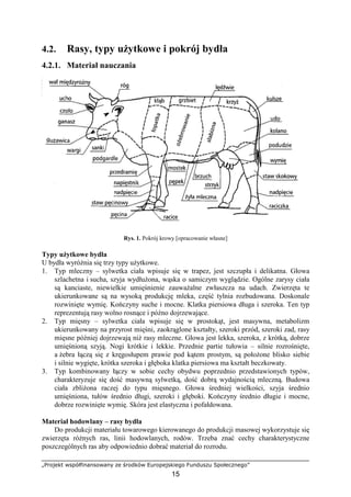 „Projekt współfinansowany ze środków Europejskiego Funduszu Społecznego”
15
4.2. Rasy, typy uŜytkowe i pokrój bydła
4.2.1. Materiał nauczania
Rys. 1. Pokrój krowy [opracowanie własne]
Typy uŜytkowe bydła
U bydła wyróŜnia się trzy typy uŜytkowe.
1. Typ mleczny – sylwetka ciała wpisuje się w trapez, jest szczupła i delikatna. Głowa
szlachetna i sucha, szyja wydłuŜona, wąska o samiczym wyglądzie. Ogólne zarysy ciała
są kanciaste, niewielkie umięśnienie zauwaŜalne zwłaszcza na udach. Zwierzęta te
ukierunkowane są na wysoką produkcję mleka, część tylnia rozbudowana. Doskonale
rozwinięte wymię. Kończyny suche i mocne. Klatka piersiowa długa i szeroka. Ten typ
reprezentują rasy wolno rosnące i późno dojrzewające.
2. Typ mięsny – sylwetka ciała wpisuje się w prostokąt, jest masywna, metabolizm
ukierunkowany na przyrost mięśni, zaokrąglone kształty, szeroki przód, szeroki zad, rasy
mięsne później dojrzewają niŜ rasy mleczne. Głowa jest lekka, szeroka, z krótką, dobrze
umięśnioną szyją. Nogi krótkie i lekkie. Przednie partie tułowia – silnie rozrośnięte,
a Ŝebra łączą się z kręgosłupem prawie pod kątem prostym, są połoŜone blisko siebie
i silnie wygięte, krótka szeroka i głęboka klatka piersiowa ma kształt beczkowaty.
3. Typ kombinowany łączy w sobie cechy obydwu poprzednio przedstawionych typów,
charakteryzuje się dość masywną sylwetką, dość dobrą wydajnością mleczną. Budowa
ciała zbliŜona raczej do typu mięsnego. Głowa średniej wielkości, szyja średnio
umięśniona, tułów średnio długi, szeroki i głęboki. Kończyny średnio długie i mocne,
dobrze rozwinięte wymię. Skóra jest elastyczna i pofałdowana.
Materiał hodowlany – rasy bydła
Do produkcji materiału towarowego kierowanego do produkcji masowej wykorzystuje się
zwierzęta róŜnych ras, linii hodowlanych, rodów. Trzeba znać cechy charakterystyczne
poszczególnych ras aby odpowiednio dobrać materiał do rozrodu.
 