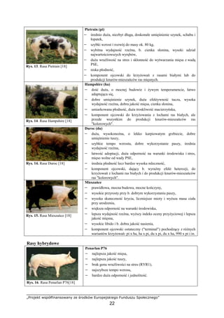 „Projekt współfinansowany ze środków Europejskiego Funduszu Społecznego”
22
Rys. 13. Rasa Pietrain [18]
Pietrain (pi)
− średnio duŜa, niezbyt długa, doskonałe umięśnienie szynek, schabu i
łopatek,
− szybki wzrost i rozwój do masy ok. 80 kg,
− wybitna wydajność rzeźna, b. cienka słonina, wysoki udział
najwartościowszych wyrębów,
− duŜa wraŜliwość na stres i skłonność do wytwarzania mięsa z wadą
PSE,
− niska płodność,
− komponent ojcowski do krzyŜowań z rasami białymi lub do
produkcji knurów-mieszańców ras mięsnych.
Rys. 14. Rasa Hampshire [18]
Hampshire (ha)
− dość duŜa, o mocnej budowie i Ŝywym temperamencie, łatwo
adaptująca się,
− dobre umięśnienie szynek, duŜa efektywność tuczu, wysoka
wydajność rzeźna, dobra jakość mięsa, cienka słonina,
− umiarkowana płodność, duŜa troskliwość macierzyńska,
− komponent ojcowski do krzyŜowania z lochami ras białych, ale
przede wszystkim do produkcji knurów-mieszańców ras
"kolorowych".
Rys. 14. Rasa Duroc [18]
Duroc (du)
− duŜa, wysokonoŜna, o lekko karpiowatym grzbiecie, dobre
umięśnienie tuszy,
− szybkie tempo wzrostu, dobre wykorzystanie paszy, średnia
wydajność rzeźna,
− łatwość adoptacji, duŜa odporność na warunki środowiska i stres,
mięso wolne od wady PSE,
− średnia płodność lecz bardzo wysoka mleczność,
− komponent ojcowski, dający b. wyraźny efekt heterozji, do
krzyŜowań z lochami ras białych i do produkcji knurów-mieszańców
ras "kolorowych".
Rys. 15. Rasa Mieszańce [18]
Mieszańce
− prawidłowa, mocna budowa, mocne kończyny,
− wysokie przyrosty przy b. dobrym wykorzystaniu paszy,
− wysoka skuteczność krycia, liczniejsze mioty i wyŜsza masa ciała
przy urodzeniu,
− większa odporność na warunki środowiska,
− lepsza wydajność rzeźna, wyŜszy indeks oceny przyŜyciowej i lepsza
jakość mięsna,
− wysokie libido i b. dobra jakość nasienia,
− komponent ojcowski ostateczny ("terminal") pochodzący z róŜnych
wariantów krzyŜowań: pi x ha, ha x pi, du x pi, du x ha, 990 x pi i in.
Rasy hybrydowe
Rys. 16. Rasa Penarlan P76[18]
Penarlan P76
− najlepsza jakość mięsa,
− najlepsza jakość tuszy,
− brak genu wraŜliwości na stres (RYR1),
− najszybsze tempo wzrosu,
− bardzo duŜa odporność i jednolitość.
 