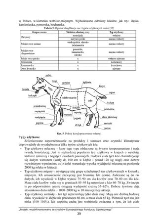 „Projekt współfinansowany ze środków Europejskiego Funduszu Społecznego”
39
w Polsce, w kierunku wełnisto-mięsnym. Wyhodowano odmiany lokalne, jak np.: śląska,
kamieniecka, pomorska, bocheńska.
Tabela 5. Ogólna klasyfikacja ras i typów uŜytkowych owiec [12]
Rys. 5. Pokrój kozy[opracowanie własne]
Typy uŜytkowe
ZróŜnicowane zapotrzebowanie na produkty i surowce oraz czynniki klimatyczne
doprowadziły do wyodrębnienia kilku typów uŜytkowych kóz.
− Typ uŜytkowy mleczny – kozy tego typu obdarzone są Ŝywym temperamentem i mają
twardą konstytucję. Jest to najbardziej popularny typ uŜytkowy w krajach o wysokiej
kulturze rolniczej i bogatych zasobach paszowych. Budowa ciała tych kóz charakteryzuje
się duŜym wzrostem (kozły do 100 cm w kłębie i ponad 120 kg wagi) oraz dobrze
rozwiniętym wymieniem, co z kolei warunkuje wysoką wydajność mleczną na poziomie
2000 kg mleka w laktacji.
− Typ uŜytkowy mięsny – występują tutaj grupy szlachetnych ras uŜytkowanych w kierunku
mięsnym. Ich umaszczenie zazwyczaj jest brunatne lub czarne. Zaliczane są do ras
duŜych, ich wysokość w kłębie wynosi 75–90 cm dla kozłów oraz 70–80 cm dla kóz.
Masa ciała kozłów waha się w granicach 85–95 kg natomiast u kóz 60–70 kg. Zwierzęta
te po odpowiednim opasie osiągają wydajność rzeźną 55–62%. Dobrze Ŝywione dają
stosunkowo duŜo mleka – 1000–2000 kg w 10 miesięcznej laktacji.
− Typ uŜytkowy wełnisty – ten typ reprezentują tylko dwie rasy. Mają one drobną budowę
ciała, wysokość w kłębie nie przekracza 60 cm, a masa ciała 65 kg. Plenność tych ras jest
niska (100–110%). Ich wspólną cechą jest wełnistość związana z tym, Ŝe ich ciało
 