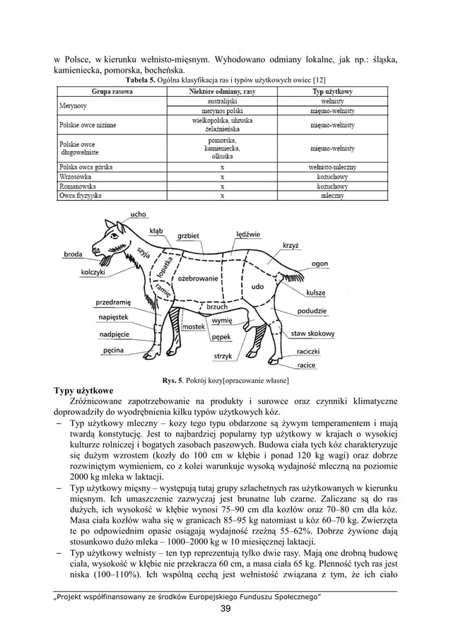 Technik.weterynarii 6 | PDF