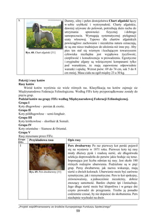 „Projekt współfinansowany ze środków Europejskiego Funduszu Społecznego”
59
X
Rys. 68. Chart afgański [31]
Dumny, silny i pełen dostojeństwa Chart afgański łączy
w sobie szybkość i wytrzymałość. Charty afgańskie,
dawniej uŜywane do polowań, potrzebują duŜo ruchu do
utrzymania sprawności fizycznej i dobrego
samopoczucia. Wymagają systematycznej pielęgnacji
szaty włosowej. Typowe dla chartów afgańskich
powściągliwe zachowanie i niezaleŜna natura oznaczają,
Ŝe są one nieco trudniejsze do ułoŜenia niŜ inne psy. Aby
pies ten stał się wiernym i kochającym towarzyszem
człowieka niezbędna jest wyjątkowa Ŝyczliwość,
cierpliwość i konsekwencja w prowadzeniu. Egzotyczne
i oryginalne afgany są wdzięcznymi kompanami tylko
pod warunkiem, Ŝe mają zapewnione odpowiednie
warunki i opiekę. Wzrost psów: 69 do 74 cm, suk 5 do 8
cm mniej. Masa ciała na ogół między 23 a 30 kg.
Pokrój i rasy kotów
Rasy kotów
Wśród kotów wyróŜnia sie wiele róŜnych ras. Klasyfikacją ras kotów zajmuje sie
Międzynarodowa Federacja Felinologiczna. Według FIFe koty przyporządkowane zostały do
pięciu grup.
Podział kotów na grupy FIFe według Międzynarodowej Federacji Felinologicznej.
Grupa I
Koty długowłose – persian & exotic.
Grupa II
Koty półdługowłose – semi-longhair.
Grupa III
Koty krótkowłose – shorthair & Somali.
Grupa IV
Koty orientalne – Siamese & Oriental.
Grupa V
Rasy nieuznane przez FIFe.
Grupa
FIFe
Przykładowa rasa Opis rasy
I
Rys. 69. Pers dwubarwny [33]
Pers dwubarwny Po raz pierwszy kot perski pojawił
się na wystawie w 1871 roku. Pierwsze koty tej rasy
miały dłuŜszy pysk i rzadszą sierść, ale długotrwała
selekcja doprowadziła do persów jakie hoduje się teraz.
Imponująca jest liczba odmian tej rasy. Jest około 180
róŜnych rodzajów ubarwienia. Podzielone są w pięć
grup. Persy dwubarwne, jak nazwa wskazuje, mają
sierść o dwóch kolorach. Ubarwienie moŜe być zarówno
symetryczne, jak i niesymetryczne. Pers to kot spokojny,
zrównowaŜony, a jednocześnie niezaleŜny, dobrze
znoszący samotność. Bardzo chętnie śpi i leniuchuje.
Jego długa sierść moŜe być kłopotliwa i w gorące dni
często prowadzi do przegrzania. Trzeba ją ponadto
codziennie czesać, by nie dopuścić do skołtunienia. Pers
niechętnie wychodzi na dwór.
 