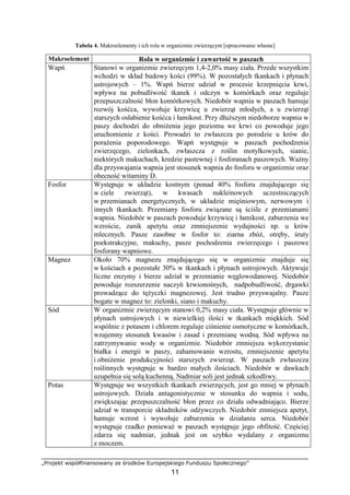 „Projekt współfinansowany ze środków Europejskiego Funduszu Społecznego”
11
Tabela 4. Makroelementy i ich rola w organizmie zwierzęcym [opracowanie własne]
Makroelement Rola w organizmie i zawartość w paszach
Wapń Stanowi w organizmie zwierzęcym 1,4-2,0% masy ciała. Przede wszystkim
wchodzi w skład budowy kości (99%). W pozostałych tkankach i płynach
ustrojowych – 1%. Wapń bierze udział w procesie krzepnięcia krwi,
wpływa na pobudliwość tkanek i odczyn w komórkach oraz reguluje
przepuszczalność błon komórkowych. Niedobór wapnia w paszach hamuje
rozwój kośćca, wywołuje krzywicę u zwierząt młodych, a u zwierząt
starszych osłabienie kośćca i łamikost. Przy dłuŜszym niedoborze wapnia w
paszy dochodzi do obniŜenia jego poziomu we krwi co powoduje jego
uruchomienie z kości. Prowadzi to zwłaszcza po porodzie u krów do
poraŜenia poporodowego. Wapń występuje w paszach pochodzenia
zwierzęcego, zielonkach, zwłaszcza z roślin motylkowych, sianie,
niektórych makuchach, kredzie pastewnej i fosforanach paszowych. WaŜny
dla przyswajania wapnia jest stosunek wapnia do fosforu w organizmie oraz
obecność witaminy D.
Fosfor Występuje w układzie kostnym (ponad 40% fosforu znajdującego się
w ciele zwierząt), w kwasach nukleinowych uczestniczących
w przemianach energetycznych, w układzie mięśniowym, nerwowym i
innych tkankach. Przemiany fosforu związane są ściśle z przemianami
wapnia. Niedobór w paszach powoduje krzywicę i łamikost, zaburzenia we
wzroście, zanik apetytu oraz zmniejszenie wydajności np. u krów
mlecznych. Pasze zasobne w fosfor to: ziarna zbóŜ, otręby, śruty
poekstrakcyjne, makuchy, pasze pochodzenia zwierzęcego i paszowe
fosforany wapniowe.
Magnez Około 70% magnezu znajdującego się w organizmie znajduje się
w kościach a pozostałe 30% w tkankach i płynach ustrojowych. Aktywuje
liczne enzymy i bierze udział w przemianie węglowodanowej. Niedobór
powoduje rozszerzenie naczyń krwionośnych, nadpobudliwość, drgawki
prowadzące do tęŜyczki magnezowej. Jest trudno przyswajalny. Pasze
bogate w magnez to: zielonki, siano i makuchy.
Sód W organizmie zwierzęcym stanowi 0,2% masy ciała. Występuje głównie w
płynach ustrojowych i w niewielkiej ilości w tkankach miękkich. Sód
wspólnie z potasem i chlorem reguluje ciśnienie osmotyczne w komórkach,
wzajemny stosunek kwasów i zasad i przemianę wodną. Sód wpływa na
zatrzymywanie wody w organizmie. Niedobór zmniejsza wykorzystanie
białka i energii w paszy, zahamowanie wzrostu, zmniejszenie apetytu
i obniŜenie produkcyjności starszych zwierząt. W paszach zwłaszcza
roślinnych występuje w bardzo małych ilościach. Niedobór w dawkach
uzupełnia się solą kuchenną. Nadmiar soli jest jednak szkodliwy.
Potas Występuje we wszystkich tkankach zwierzęcych, jest go mniej w płynach
ustrojowych. Działa antagonistycznie w stosunku do wapnia i sodu,
zwiększając przepuszczalność błon przez co działa odwadniająco. Bierze
udział w transporcie składników odŜywczych. Niedobór zmniejsza apetyt,
hamuje wzrost i wywołuje zaburzenia w działaniu serca. Niedobór
występuje rzadko poniewaŜ w paszach występuje jego obfitość. Częściej
zdarza się nadmiar, jednak jest on szybko wydalany z organizmu
z moczem.
 
