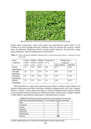 „Projekt współfinansowany ze środków Europejskiego Funduszu Społecznego”
43
Rys. 19. Pastwisko w fazie kiedy moŜna rozpocząć wypas [opracowanie własne]
Wypas naleŜy rozpoczynać wtedy kiedy odrost runi pastwiskowej wynosi około 15 cm,
a rośliny są w fazie początku kłoszenia. Zielonka wtedy jest smaczna dla zwierząt i chętnie
przez nie pobierana. Zachowuje równieŜ wysoką wartość odŜywczą. Na pastwisku zostaje
mniej niedojadów, poniewaŜ pobieranie jest równomierne.
Tabela 17. Zmiany zawartości składników pokarmowych w trawach pierwszego pokosu w zaleŜności od fazy
rozwoju [6]
Energia netto
w kg s.m.
Faza
wegetacji
Sucha
masa
w %
Białko
surowe
w %
Włókno
surowe
w %
Strawność
w %
Jedn. pokarm. MJ NEL
Przed
kłoszeniem
17 19,5 20,5 80 671 6,85
Początki
kłoszenia
18 17 23,8 75 622 6,34
Początek
kwitnienia
21 14,5 27,2 67 535 5,52
Koniec
kwitnienia
23 12,1 31,1 61 456 4,92
Ruń pastwiskowa w ciągu sezonu pastwiskowego odrasta w róŜnym tempie. ZaleŜy to od
systemu uŜytkowania pastwiska, nawoŜenia, zabiegów pielęgnacyjnych, pory roku i pogody.
RóŜnice w plonie i czasie odrostu powodują, Ŝe wiosną występuje pewien nadmiar zielonki
i część pastwiska naleŜy przeznaczyć na uŜytkowanie kośne. Jesienią moŜe wystąpić niedobór
i trzeba zadbać o zgromadzenie innych pasz w celu dokarmienia zwierząt.
Tabela 18. Rozkład plonu zielonki na pastwisku w poszczególnych miesiącach [6]
Miesiąc sezonu pastwiskowego % w stosunku do plonu rocznego
Maj 22
Czerwiec 25
Lipiec 17
Sierpień 15
Wrzesień 13
Październik 8
Razem 100
 