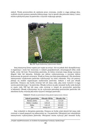 „Projekt współfinansowany ze środków Europejskiego Funduszu Społecznego”
45
stałych. Wtedy powierzchnie do zjedzenia przez zwierzęta, zwykle w ciągu jednego dnia,
wydziela się przy pomocy pastucha elektrycznego. Jest to sposób zdecydowanie tańszy. Łatwo
moŜna wykonywać prace na pastwisku z uŜyciem większego sprzętu.
Rys. 20. Wypas dawkowany [opracowanie własne]
Inną intensywną forma wypasu jest wypas na uwięzi. Jest on jednak dość skomplikowany
w organizacji i moŜe być stosowany w małych gospodarstwach, utrzymujących kilka sztuk
bydła, owiec lub koni. Powierzchnię pastwiska, do której zwierzęta mają dostęp wyznacza
długość linki lub łańcucha. Zielonka jest dobrze wykorzystywana, a Ŝywienie dobrze
dostosowane do potrzeb zwierzęcia. Wadą tej formy jest duŜa pracochłonność. Dla określenia
intensywności uŜytkowania pastwiska wykorzystuje się róŜne wskaźniki. Przy ich pomocy
planuje się modele organizacyjne uŜytkowania pastwiska. Jednym z nich jest obsada
pastwiska. Oznacza ona liczbę zwierząt lub ich masę ciała, jaką moŜe wyŜywić w ciągu
sezonu pastwiskowego 1 ha pastwiska. Obsadę wylicza się jako stosunek liczby sztuk duŜych
(o masie ciała 500 kg) lub masy ciała zwierząt w tonach do powierzchni pastwiska
w hektarach. Obsadę wykorzystuje się do wyliczenia potrzebnej powierzchni pastwiska lub
określenia liczby zwierząt jaka moŜe wyŜywić istniejące pastwisko.
Tabela.21. Obsada na pastwiskach róŜnej jakości [opracowanie własne]
Jakość pastwiska Obsada SD/ha Obsada t/ha
Bardzo dobre 3-4 1,5-2,0
Dobre i średnie 2,0-2,8 1,0-1,4
Słabe 1,0-1,8 0,5-0,9
Złe mniej niŜ 1 do 0,5
Inny wskaźnik to obciąŜenia pastwiska. Oznacza on liczbę sztuk duŜych lub masę ciała
zwierząt w tonach pasących się jednocześnie na 1 ha pastwiska. ObciąŜenie jest wskaźnikiem
intensywności wykorzystania pastwiska. ObciąŜenie moŜna wyliczyć jako stosunek liczby
 