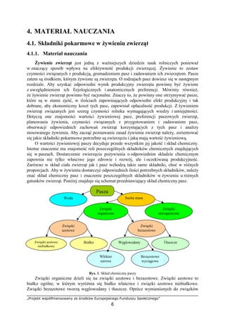 „Projekt współfinansowany ze środków Europejskiego Funduszu Społecznego”
6
4. MATERIAŁ NAUCZANIA
4.1. Składniki pokarmowe w Ŝywieniu zwierząt
4.1.1. Materiał nauczania
śywienie zwierząt jest jedną z waŜniejszych dziedzin nauk rolniczych poniewaŜ
w znaczący sposób wpływa na efektywność produkcji zwierzęcej. śywienie to zestaw
czynności związanych z produkcją, gromadzeniem pasz i zadawaniem ich zwierzętom. Pasze
zatem są środkiem, którym Ŝywione są zwierzęta. O rodzajach pasz dowiesz się w następnym
rozdziale. Aby uzyskać odpowiedni wynik produkcyjny zwierzęta powinny być Ŝywione
z uwzględnieniem ich fizjologicznych i anatomicznych preferencji. Mówimy równieŜ,
Ŝe Ŝywienie zwierząt powinno być racjonalne. Znaczy to, Ŝe powinny one otrzymywać pasze,
które są w stanie zjeść, w ilościach zapewniających odpowiedni efekt produkcyjny i tak
dobrane, aby ekonomiczny koszt tych pasz, zapewniał opłacalność produkcji. Z Ŝywieniem
zwierząt związanych jest szereg czynności rolnika wymagających wiedzy i umiejętności.
Dotyczą one znajomości wartości Ŝywieniowej pasz, preferencji paszowych zwierząt,
planowania Ŝywienia, czynności związanych z przygotowaniem i zadawaniem pasz,
obserwacji odpowiednich zachowań zwierząt korzystających z tych pasz i analizy
stosowanego Ŝywienia. Aby zacząć poznawanie zasad Ŝywienia zwierząt naleŜy, zorientować
się jakie składniki pokarmowe potrzebne są zwierzęciu i jaką mają wartość Ŝywieniową.
O wartości Ŝywieniowej paszy decyduje przede wszystkim jej jakość i skład chemiczny.
Istotne znaczenie ma znajomość roli poszczególnych składników chemicznych znajdujących
się w paszach. Dostarczenie zwierzęciu poŜywienia o odpowiednim składzie chemicznym
zapewnia nie tylko właściwe jego zdrowie i rozwój, ale i oczekiwaną produkcyjność.
Zarówno w skład ciała zwierząt jak i pasz wchodzą takie same składniki, choć w róŜnych
proporcjach. Aby w Ŝywieniu dostarczyć odpowiednich ilości potrzebnych składników, naleŜy
znać skład chemiczny pasz i znaczenie poszczególnych składników w Ŝywieniu u róŜnych
gatunków zwierząt. PoniŜej znajduje się schemat przedstawiający skład chemiczny pasz.
Rys. 1. Skład chemiczny paszy
Związki organiczne dzieli się na związki azotowe i bezazotowe. Związki azotowe to
białko ogólne, w którym wyróŜnia się białko właściwe i związki azotowe niebiałkowe.
Związki bezazotowe tworzą węglowodany i tłuszcze. Oprócz wymienionych do związków
Pasza
Woda
Związki
nieorganiczne
Związki
organiczne
Związki
azotowe
Związki
bezazotowe
Węglowodany Tłuszcze
Sucha masa
Bezazotowe
wyciągowe
Włókno
surowe
Związki azotowe
niebiałkowe
Białko
 