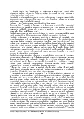 „Projekt współfinansowany ze środków Europejskiego Funduszu Społecznego”
14
Robaki płaskie (typ Plathelmintha) to bezkręgowe o dwubocznej symetrii ciała,
spłaszczone grzbietowo-brzusznie. Zwierzęta naleŜące do gromady przywry i tasiemce to
wyłącznie organizmy pasoŜytnicze.
Robaki obłe (typ Nemathelminthes) są to równieŜ bezkręgowce o dwubocznej symetrii ciała,
niesegmentowane, wydłuŜone, obłe, często nitkowate. Organizmy naleŜące do gromady
nicieni bytują najczęściej u ludzi i zwierząt.
Kolcogłowy (typ Acanthocephala) to robaki o ciele cylindrycznym.
Stawonogi (typ Arthropoda) to bezkręgowce o dwubocznej symetrii ciała i segmentacji
heteronomicznej. Ze względów sanitarno-weterynaryjnych na uwagę zasługują szczególnie:
pajęczaki a wśród nich roztocza, które są głównym pasoŜytem zewnętrznym bytującym na
powierzchni skóry i naskórka oraz owady.
Działanie chorobotwórcze pasoŜytów wyróŜnia się trzy sposoby patogennego oddziaływania
pasoŜyta na Ŝywiciela: działania mechaniczne, odjadanie oraz działanie chemiczne.
Działanie mechaniczne to występowanie pasoŜytów w tkankach lub narządach, które
wywołuje negatywny wpływ na ich funkcjonowanie. DuŜe pasoŜyty (glisty, tasiemce) mogą
zaczopować światło przewodu pokarmowego, powodując nawet jego niedroŜność, inne
podczas przytwierdzania się do Ŝywiciela, uszkadzają błonę śluzową jelita swoimi narządami
czepnymi a postacie larwalne wędrując, uszkadzają tkanki i narządy. Odjadanie to inaczej
konsumowanie przez pasoŜyty pokarmu przeznaczonego dla Ŝywiciela. Oprócz ilości
zjedzonego poŜywienia, istotne jest równieŜ pozbawianie Ŝywiciela określonych składników,
głównie witamin i aminokwasów, poniewaŜ znaczne zuboŜenie Ŝywiciela w te związki
prowadzi do zaburzeń jego metabolizmu.
Działanie chemiczne powoduje zaburzenia czynności układów nerwowego, krwionośnego,
pokarmowego i odpornościowego. Dodatkowo substancje uwalniane przez pasoŜyty wykazują
działanie uczulające, które najczęściej objawia się u Ŝywiciela objawami klinicznymi
nadwraŜliwości (alergii). PasoŜyty aby zasiedlić i utrzymać się w Ŝywicielu, wytwarzają
związki zwane enzymami: proteolitycznymi (eliminują czynniki obrony Ŝywiciela)
i penetracyjnymi ( wpływają na wędrówkę w tkankach, narządach).
Podsumowując moŜna stwierdzić, Ŝe działanie chorobotwórcze zaleŜy od właściwości
pasoŜytów, np. ich gatunku, szczepu, lokalizacji i stadium rozwojowego oraz od wraŜliwości
Ŝywiciela czyli kondycji, wieku i stanu układu odpornościowego.
Przystosowania do pasoŜytniczego trybu Ŝycia [3, s. 32-34] są związane z podstawowymi
czynnościami organizmu, dlatego rozróŜniamy adaptacje morfologiczne, fizjologiczne oraz
dotyczące cyklów rozwojowych. Adaptacje morfologiczne ułatwiają zasiedlanie Ŝywiciela,
najczęściej dotyczą zmiany kształtu czy wytworzenia specjalnych struktur umoŜliwiających
przyczepianie się do Ŝywiciela (np. przyssawki, bruzdy, haki, kolce). Ograniczona przestrzeń
Ŝycia pasoŜytów wewnętrznych powoduje, Ŝe mają małe moŜliwości przemieszczania się, co
spowodowało zanik narządów ruchu. Często zdolności ruchowe róŜnią się u postaci
larwalnych i dojrzałych pasoŜytów, co wynika z zasiedlanych środowisk (np. miracydia
i cerkarie motylicy wątrobowej doskonale pływają w wodzie, natomiast postacie dojrzałe
poruszają się bardzo nieporadnie). Większość pasoŜytów zewnętrznych ściśle związanych
z Ŝywicielem jest spłaszczona grzbietowo-brzusznie, co ułatwia przyleganie do skóry.
Adaptacje fizjologiczne mają na celu zasiedlenie Ŝywiciela, utrzymanie się w nim
i rozmnoŜenie, mogą być róŜne u poszczególnych stadiów rozwojowych. W przypadku larw
wielu pasoŜytów aktywnie wnikających przez powłoki ciała Ŝywiciela stwierdza się enzymy
proteolityczne (na przykład kolagenazę), umoŜliwiające przenikanie przez skórę. PasoŜyty
mogą wytwarzać substancje inaktywujące lub hamujące działanie enzymów Ŝywiciela, które
mogłyby niekorzystnie na nie wpływać, pobierają substancje pokarmowe poprzez układ
pokarmowy lub jak w przypadku przywr i tasiemców - całą powierzchnią ciała. Wykształciły
 