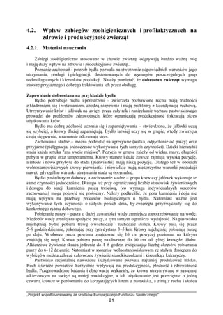 „Projekt współfinansowany ze środków Europejskiego Funduszu Społecznego”
21
4.2. Wpływ zabiegów zoohigienicznych i profilaktycznych na
zdrowie i produkcyjność zwierząt
4.2.1. Materiał nauczania
Zabiegi zoohigieniczne stosowane w chowie zwierząt odgrywają bardzo waŜną rolę
i mają duŜy wpływ na zdrowie i produkcyjność zwierząt..
Poznanie zachowań i potrzeb bydła pozwala na stworzenie odpowiednich warunków jego
utrzymania, obsługi i pielęgnacji, dostosowanych do wymogów poszczególnych grup
technologicznych i kierunków produkcji. NaleŜy pamiętać, Ŝe dobrostan zwierząt wymaga
zawsze przyjaznego i dobrego traktowania ich przez obsługę.
Zapewnienie dobrostanu na przykładzie bydła
Bydło potrzebuje ruchu i przestrzeni – zwierzęta pozbawione ruchu mają trudności
z kładzeniem się i wstawaniem, chodzą niepewnie i mają problemy z koordynacją ruchową.
Utrzymywanie krów i jałówek na uwięzi przez cały rok i zaniechanie wypasu pastwiskowego
prowadzi do problemów zdrowotnych, które ograniczają produkcyjność i skracają okres
uŜytkowania krów.
Bydło ma dobrą zdolność uczenia się i zapamiętywania – stwierdzono, Ŝe jałówki uczą
się szybciej, a krowy dłuŜej zapamiętują. Bydło łatwiej uczy się w grupie, wtedy zwierzęta
czują się pewnie, a samotnie odczuwają stres.
Zachowania stadne – moŜna podzielić na agresywne (walka, odpychanie od paszy) oraz
przyjazne (pielęgnacja, jednoczesne wykonywanie tych samych czynności). Dzięki hierarchii
stada kaŜda sztuka "zna swoje miejsce". Pozycja w grupie zaleŜy od wieku, masy, długości
pobytu w grupie oraz temperamentu. Krowy starsze i duŜe zawsze zajmują wysoką pozycję,
a młode i nowo przybyłe do stada (pierwiastki) mają niską pozycję. Dlatego teŜ w oborach
wolnostanowiskowych krowy pierwiastki i niewielkie mają niekorzystne warunki produkcji
nawet, gdy ogólne warunki utrzymania stada są optymalne.
Bydło posiada rytm dobowy, a zachowanie stadne – grupa krów czy jałówek wykonuje te
same czynności jednocześnie. Dlatego teŜ przy ograniczonej liczbie stanowisk Ŝywieniowych
i dostępu do stacji karmienia paszą treściwą, (co wymaga indywidualnych wzorców
zachowania) mogą pojawić się problemy. NaleŜy podkreślić, Ŝe pora karmienia i doju nie
mają wpływu na przebieg procesów biologicznych u bydła. Natomiast waŜne jest
wykonywanie tych czynności o stałych porach dnia, by zwierzęta przyzwyczaiły się do
konkretnego rytmu dobowego.
Pobieranie paszy – pasza o duŜej zawartości wody zmniejsza zapotrzebowanie na wodę.
Niedobór wody zmniejsza spoŜycie paszy, a tym samym ogranicza wydajność. Na pastwisku
najchętniej bydło pobiera trawę o wschodzie i zachodzie słońca. Krowy pasą się przez
5–9 godzin dziennie, pokonując przy tym dystans 3–5 km. Krowy najchętniej pobierają paszę
po doju. W oborze pasza powinna znajdować się 10 cm powyŜej poziomu, na którym
znajdują się nogi. Krowa pobiera paszę na obszarze do 60 cm od tylnej krawędzi Ŝłobu.
Alkierzowe Ŝywienie skraca jedzenie do 4–6 godzin zwiększając liczbę okresów pobierania
paszy do 6–12 dziennie. Natomiast w systemie wolnostanowiskowym ze stałym dostępem do
wybiegów moŜna zalecać całoroczne Ŝywienie sianokiszonkami i kiszonką z kukurydzy.
Pastwisko racjonalnie nawoŜone i uŜytkowane pozwala najtaniej produkować mleko.
Ruch i świeŜe powietrze korzystnie wpływają na produkcyjność, płodność i zdrowotność
bydła. Przeprowadzone badania i obserwacje wykazały, Ŝe krowy utrzymywane w systemie
alkierzowym na uwięzi są mniej produkcyjne, a ich uŜytkowanie jest przeciętnie o jedną
czwartą krótsze w porównaniu do korzystających latem z pastwiska, a zimą z ruchu i słońca
 