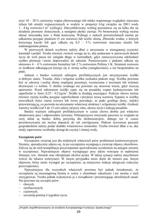 „Projekt współfinansowany ze środków Europejskiego Funduszu Społecznego”
29
uŜyć 10 – 20 % zawiesiny wapna chlorowanego lub mleka wapiennego względnie siarczanu
Ŝelaza lub miedzi rozpuszczonych w wodzie w proporcji 6 kg związku na 200 l wody
1 – 4 kg roztworu/1 m2
wybiegu). Zdezynfekowany wybieg pozostawia się na kilka dni na
działanie promieni słonecznych, a następnie płytko zaoruje. Po bronowaniu wybieg moŜna
obsiać mieszanką traw z biała koniczyną. Wybiegi o małych powierzchniach moŜna po
odkaŜeniu posypać piaskiem (5 cm warstwa) lub ścielić słomą. Zbiorniki wodne, z których
korzystają kaczki lub gęsi odkaŜa się 0,5 – 5 % roztworem siarczanu miedzi lub
nadmanganianu potasu.
W pierwszych dniach wychowu naleŜy dbać o utrzymanie w nienagannej czystości
karmideł i poideł. Trzeba równieŜ zwrócić uwagę na to, aby podawana w pierwszych dniach
Ŝycia do woli pasza nie zalegała długo w karmidłach, gdyŜ zanieczyszczona odchodami
szybko pleśnieje i moŜe doprowadzić do zakaŜeń. Pomieszczenie z ptakami odkaŜa się
okresowo 4 – 6 % roztworem formaliny lub 2 % roztworem Polleny J K. Strumień roztworu
ze środkiem odkaŜającym kieruje się w stronę sufitu (zamgławianie), a nie bezpośrednio na
ptaki.
Jednym z bardzo waŜnych zabiegów profilaktycznych jest utrzymywanie ściółki
w dobrym stanie. Twarda, zbita i wilgotna ściółka uszkadza ptakom nogi. Ściółka powinna
być ze zdrowej i suchej słomy (najlepiej pszennej), wymieszana z trocinami lub wiórami
drzewnymi i z torfem. U drobiu wodnego nie powinno się stosować trocin, gdyŜ niszczą
upierzenie. Przed załoŜeniem ściółki sypie się na posadzkę wapno hydratyzowane lub
superfosfat w ilości 0,25 – 0,5 kg/m2
. Środki te działają osuszająco. Podczas chowu moŜna
równieŜ zuŜytą ściółkę posypać superfosfatem i przykryć nową warstwą. Sypanie w ściółkę
niewielkich ilości ziarna (owies) lub Ŝwiru powoduje, ze ptaki grzebiąc (kury, indyki)
przewietrzają ją, co pozwala na utrzymanie właściwej struktury i wilgotności ściółki. Grubość
warstwy ściółki (od 5 do 15 cm) zaleŜy od pory roku, okresu Ŝycia i rodzaju posadzki.
Bardzo waŜnym zabiegiem profilaktycznym w czasie chowu drobiu jest właściwe
składowanie pasz i odpowiednie Ŝywienie. Pełnoporcjowe mieszanki paszowe ze względu na
swój skład są bardzo dobrą poŜywką dla drobnoustrojów, dlatego teŜ w czasie
przechowywania nie moŜna dopuścić do ich zawilgocenia. Ptakom Ŝywionym paszami
gospodarskimi naleŜy podać dodatki witaminowo–mineralne. Trzeba równieŜ dbać o to, aby
miały zapewnione swobodny dostęp do czystej i zimnej wody.
Szczepienie psów
Szczepienie zwierząt jest dla niektórych właścicieli psów problemem kontrowersyjnym.
Niestety, sporadycznie zdarza się, Ŝe po szczepieniu występują u zwierząt objawy chorobowe.
Zalicza się do nich komplikacje poszczepienne spowodowane uczuleniem na antygen zawarty
w szczepionce. NajwaŜniejsze objawy występujące przy takim wstrząsie to nadmierne
ślinienie, tzw. ślinotok oraz obrzęknięte okolice pyska. W takiej sytuacji naleŜy natychmiast
wrócić do lekarza weterynarii. W innym przypadku moŜe dojść do śmierci psa. Innym
objawem, który moŜe wystąpić po szczepieniu, są miejscowe reakcje alergiczne (odczyny
poszczepienne).
NajwaŜniejsza dla wszystkich właścicieli powinna być jednak świadomość, Ŝe
szczepienia są niezastąpioną bronią w walce z chorobami zakaźnymi i nie moŜna z nich
zrezygnować. Trzeba jednak wykonywać je z rozsądkiem i przestrzegając określonych zasad.
Nie powinno się szczepić psów:
— chorych,
— zarobaczonych,
— cięŜarnych,
— szczeniąt poniŜej 6 tygodnia Ŝycia.
 