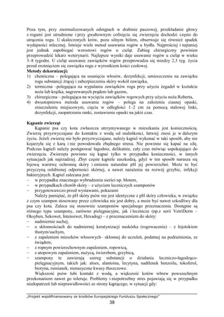 „Projekt współfinansowany ze środków Europejskiego Funduszu Społecznego”
38
Poza tym, przy znormalizowanych odstępach w drabinie paszowej, przekładanie głowy
z rogami jest utrudnione i przy gwałtownym cofnięciu się zwierzęcia dochodzi często do
utrącenia rogu. U skaleczonych krów, poza silnym bólem, obserwuje się równieŜ spadek
wydajności mlecznej. Istnieje wiele metod usuwania rogów u bydła. Najprościej i najtaniej
jest jednak zapobiegać wzrostowi rogów u cieląt. Zabieg chirurgiczny powinien
przeprowadzić lekarz weterynarii. Najlepsze wyniki daje usuwanie rogów u cieląt w wieku
3–8 tygodni. U cieląt usuwanie zawiązków rogów przeprowadza się miedzy 2,3 tyg. Ŝycia
przed zrośnięciem się zawiązku rogu z wyrostkiem kości czołowej.
Metody dekornizacji:
1) chemiczna – polegająca na usunięciu włosów, dezynfekcji, umieszczeniu na zawiązku
rogu substancji Ŝrącej i zabezpieczeniu skóry wokół zawiązka,
2) termiczna –polegająca na wypalaniu zawiązków rogu przy uŜyciu Ŝegadeł w kształcie
noŜa lub krąŜka, nagrzewanych prądem lub gazem,
3) chirurgiczna – polegająca na wycięciu zawiązków rogowych przy uŜyciu noŜa Roberta,
4) dwustopniowa metoda usuwania rogów – polega na załoŜeniu ciasnej opaski,
znieczuleniu miejscowym, cięciu w odległości 1–2 cm za pomocą stalowej linki,
dezynfekcji, zaopatrzeniu ranki, zostawienie opaski na jakiś czas.
Kąpanie zwierząt
Kąpanie psa czy kota zwłaszcza utrzymywanego w mieszkaniu jest koniecznością.
Zwierzę przyzwyczajane do kontaktu z wodą od maleńkości, łatwiej znosi je w dalszym
Ŝyciu. JeŜeli zwierzę nie było przyzwyczajane, naleŜy kąpiel wykonać w taki sposób, aby nie
kojarzyła się z karą i nie powodowała zbędnego stresu. Nie powinno się kapać na siłę.
Podczas kąpieli naleŜy postępować łagodnie, delikatnie, cały czas mówiąc uspokajająco do
zwierzęcia. Zwierzęta powinno się kąpać tylko w przypadku konieczności, w innych
sytuacjach jak najrzadziej. Zbyt częste kąpiele zaszkodzą, gdyŜ w ten sposób narusza się
łojową warstwę ochronną skóry i zmienia naturalne pH jej powierzchni. MoŜe to być
przyczyną osłabionej odporności skórnej, a nawet naraŜenia na rozwój grzybic, infekcji
bakteryjnych. Kąpiel zalecana jest:
— w przypadku znacznego wybrudzenia sierści np. błotem,
— w przypadkach chorób skóry – z uŜyciem leczniczych szamponów
— przygotowawczo przed wystawami, pokazami
NaleŜy pamiętać, Ŝe pH skóry psów nie jest identyczne z pH skóry człowieka, w związku
z czym szampon stosowany przez człowieka nie jest dobry, a moŜe być nawet szkodliwy dla
psa czy kota. Zaleca się stosownie szamponów specjalnego przeznaczenia. Dostępne są
róŜnego typu szampony, zarówno pielęgnacyjne, jak i lecznicze (np.z serii VetriDerm –
Oksyben, Sekowet, Intensiwet, Hexadog) – z przeznaczeniem do skóry:
— nadmiernie suchej,
— o skłonnościach do nadmiernej keratynizacji naskórka (rogowaceniu) – z łojotokiem
tłustym/suchym,
— z zapaleniem mieszków włosowych– skłonnej do uczuleń, podatnej na podraŜnienia, ze
świądem,
— z ropnym powierzchownym zapaleniem, ropowicą,
— z atopowym zapaleniem, nuŜycą, świerzbem, grzybicą,
— szampony te zawierają szereg substancji o działaniu leczniczo-łagodząco-
pielęgnacyjnym, takich jak: aloes, alantoina, lecytyna, nadtlenek benzoilu, tokoferol,
biotyna, rumianek, nienasycone kwasy tłuszczowe.
Większość psów lubi kontakt z wodą, a większość kotów wbrew powszechnym
przekonaniom nawet go toleruje. Problemy i niepotrzebny stres pojawiają się w przypadku
niedopatrzeń lub nieprawidłowości ze strony kąpiącego, w sytuacji gdy:
 