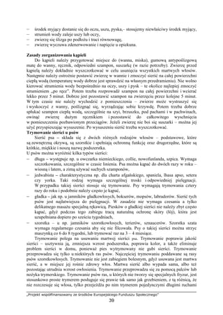 „Projekt współfinansowany ze środków Europejskiego Funduszu Społecznego”
39
— środek myjący dostanie się do oczu, uszu, pyska,– stosujemy niewłaściwy środek myjący,
— strumień wody zaleje uszy lub oczy,
— zwierzę się ślizga po podłoŜu i traci równowagę,
— zwierzę wyczuwa zdenerwowanie i napięcie u opiekuna.
Zasady zorganizowania kąpieli
Do kąpieli naleŜy przygotować miejsce do (wanna, miska), gumową antypoślizgową
matę do wanny, ręcznik, odpowiedni szampon, suszarkę (w razie potrzeby). Zwierzę przed
kąpielą naleŜy dokładnie wyszczotkować w celu usunięcia wszystkich martwych włosów.
Następnie naleŜy ostroŜnie postawić zwierzę w wannie i zmoczyć sierść na całej powierzchni
ciepłą wodą (temperaturę wody dobrze jest sprawdzić na własnym przedramieniu). Nie wolno
kierować strumienia wody bezpośrednio na oczy, uszy i pysk – te okolice najlepiej zmoczyć
strumieniem „po ręce”. Potem trzeba rozprowadź szampon na całej powierzchni i wcierać
lekko przez 5 minut. Dobrze jest pozostawić szampon na zwierzęciu przez kolejne 5 minut.
W tym czasie nie naleŜy wychodzić z pomieszczenia – zwierze moŜe wystraszyć się
i wyskoczyć z wanny, poślizgnąć się, wyrządzając sobie krzywdę. Potem trzeba dobrze
spłukać szampon ciepłą wodą, szczególnie na szyi, brzuszku, pod pachami i w pachwinach,
owinąć zwierzę duŜym ręcznikiem i pozostawić do całkowitego wyschnięcia
w pomieszczeniu pozbawionym przeciągów. JeŜeli zwierzę nie boi się suszarki – moŜna jej
uŜyć przyspieszając wysuszenie. Po wysuszeniu sierść trzeba wyszczotkować.
Trymowanie sierści u psów
Sierść psa – składa się z dwóch róŜnych rodzajów włosów – podstawowe, które
są zewnętrzną okrywą, są szorstkie i spełniają ochronną funkcję oraz drugorzędne, które są
krótkie, miękkie i noszą nazwę podszerstka.
U psów moŜna wyróŜnić kilka typów sierści:
– długa – występuje np. u owczarka niemieckiego, collie, nowofunlanda, szpica. Wymaga
szczotkowania, szczególnie w czasie linienia. Psa moŜna kąpać do dwóch razy w roku –
wiosną i latem, a zimą uŜywać suchych szamponów,
– jedwabista – charakterystyczna np. dla charta afgańskiego, spaniela, lhasa apso, setera
czy yorka. Taki rodzaj wymaga szczególnej troski i odpowiedniej pielęgnacji.
W przypadku takiej sierści stosuje się trymowanie. Psy wymagają trymowania cztery
razy do roku i podobnie naleŜy często je kąpać,
– gładka – jak np. u jamników gładkowłosych, bokserów, mopsów, labradorów. Sierść tych
psów jest najłatwiejsza do pielęgnacji. W zasadzie nie wymaga czesania a tylko
delikatnego masaŜu specjalną rękawicą. Piesków o gładkiej sierści nie naleŜy zbyt często
kąpać, gdyŜ podczas tego zabiegu tracą naturalną ochronę skóry (łój), która jest
uzupełniana dopiero po sześciu tygodniach,
– szorstka – u np. jamników szorstkowłosych, terierów, sznaucerów. Szorstka szata
wymaga regularnego czesania aby się nie filcowała. Psy o takiej sierści moŜna strzyc
maszynką co 6 do 8 tygodni, lub trymować raz na 3 – 4 miesiące.
Trymowanie polega na usuwaniu martwej sierści psa. Trymowanie poprawia jakość
sierści – usztywnia ją, zmniejsza wzrost podszerstka, poprawia kolor, a takŜe eliminuje
problem sierści w domu, poniewaŜ pies wytrymowany nie gubi sierści. Trymowanie
przeprowadza się tylko u niektórych ras psów. Najczęściej trymowaniu poddawane są rasy
psów szorstkowłosych. Trymowanie nie jest zabiegiem bolesnym, gdyŜ usuwana jest martwa
sierść, a w miejsce jej rośnie zdrowy włos. Martwa sierść albo wypada sama, albo teŜ
pozostając utrudnia wzrost owłosienia. Trymowanie przeprowadza się za pomocą palców lub
noŜyka trymerskiego. Trymowanie psów ras, u których nie tworzy się specjalnych fryzur, jest
stosunkowo proste trymerem posługuje się prawie tak samo jak grzebieniem, z tą róŜnicą, Ŝe
nie rozczesuje się włosa, tylko przejeŜdŜa po nim trymerem pojedynczymi długimi ruchami
 