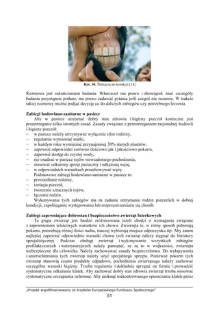 „Projekt współfinansowany ze środków Europejskiego Funduszu Społecznego”
51
Rys. 30. Siekacze po korekcji [14]
Rozmowa jest zakończeniem badania. Właściciel ma prawo i obowiązek znać szczegóły
badania przystępnie podane, ma prawo zadawać pytania jeśli czegoś nie rozumie. W trakcie
takiej rozmowy moŜna podjąć decyzję co do dalszych zabiegów czy potrzebnego leczenia.
Zabiegi hodowlano-sanitarne w pasiece
Aby w pasiece utrzymać dobry stan zdrowia i higieny pszczół konieczne jest
przestrzeganie kilku istotnych zasad. Zasady związane z przestrzeganiem racjonalnej hodowli
i higieny pszczół:
— w pasiece naleŜy utrzymywać wyłącznie silne rodziny,
— regularnie wymieniać matki,
— w kaŜdym roku wymieniać przynajmniej 30% starych plastrów,
— zapewnić odpowiedni zarówno ilościowo jak i jakościowo pokarm,
— zapewnić dostęp do czystej wody,
— nie osadzać w pasiece rojów niewiadomego pochodzenia,
— stosować odkaŜony sprzęt pasieczny i odkaŜoną węzę,
— w odpowiednich warunkach przechowywać węzę.
Podstawowe zabiegi hodowlano-sanitarne w pasiece to:
— przesiedlanie rodziny,
— izolacja pszczół,
— tworzenie sztucznych rojów,
— łączenie rodzin.
Wykonywanie tych zabiegów ma za zadanie utrzymanie rodzin pszczelich w dobrej
kondycji, zapobieganie występowaniu lub rozprzestrzenianiu się chorób.
Zabiegi zapewniające dobrostan i bezpieczeństwo zwierząt futerkowych
Ta grupa zwierząt jest bardzo zróŜnicowana jeŜeli chodzi o wymagania związane
z zapewnieniem właściwych warunków ich chowu. Zwierzęta te, w róŜny sposób pobierają
pokarm, potrzebują róŜnej ilości ruchu, inaczej wybierają miejsce odpoczynku itp. Aby zatem
najlepiej zapewnić odpowiednie warunki chowu tych zwierząt naleŜy sięgnąć do literatury
specjalistycznej. Podczas obsługi zwierząt i wykonywaniu wszystkich zabiegów
profilaktycznych i weterynaryjnych naleŜy pamiętać, ze są to w większości, zwierzęta
niebezpieczne dla człowieka. NaleŜy zachowywać zasady bezpieczeństwa. Do wyłapywania
i unieruchamiania tych zwierząt naleŜy uŜyć specjalnego sprzętu. PoniewaŜ pokarm tych
zwierząt stanowią często produkty odpadowe, pochodzenia zwierzęcego naleŜy zachować
szczególne warunki higieny. Trzeba regularnie i dokładnie sprzątać na fermie i prowadzić
systematyczne odkaŜanie klatek. Aby zachować dobry stan zdrowia zwierząt trzeba stosować
systematyczne szczepienia ochronne. Aby uniknąć niekontrowanego opuszczania klatek przez
 