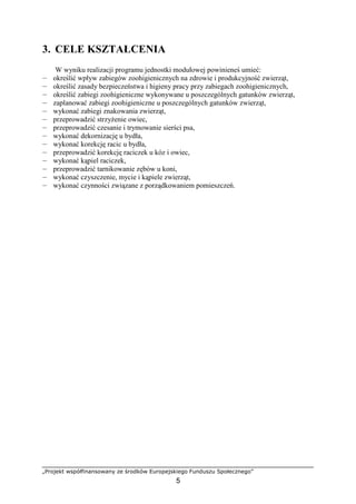 „Projekt współfinansowany ze środków Europejskiego Funduszu Społecznego”
5
3. CELE KSZTAŁCENIA
W wyniku realizacji programu jednostki modułowej powinieneś umieć:
— określić wpływ zabiegów zoohigienicznych na zdrowie i produkcyjność zwierząt,
— określić zasady bezpieczeństwa i higieny pracy przy zabiegach zoohigienicznych,
— określić zabiegi zoohigieniczne wykonywane u poszczególnych gatunków zwierząt,
— zaplanować zabiegi zoohigieniczne u poszczególnych gatunków zwierząt,
— wykonać zabiegi znakowania zwierząt,
— przeprowadzić strzyŜenie owiec,
— przeprowadzić czesanie i trymowanie sierści psa,
— wykonać dekornizację u bydła,
— wykonać korekcję racic u bydła,
— przeprowadzić korekcję raciczek u kóz i owiec,
— wykonać kąpiel raciczek,
— przeprowadzić tarnikowanie zębów u koni,
— wykonać czyszczenie, mycie i kąpiele zwierząt,
— wykonać czynności związane z porządkowaniem pomieszczeń.
 