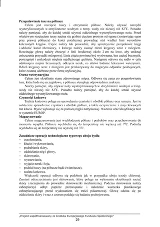 „Projekt współfinansowany ze środków Europejskiego Funduszu Społecznego”
29
Przepaławianie tusz na półtusze
Celem jest rozcięcie tuszy i otrzymanie półtusz. NaleŜy uŜywać narzędzi
wysterylizowanych w sterylizatorze wodnym o temp. wody nie niŜszej niŜ 82o
C. Ponadto
naleŜy pamiętać, aby do kaŜdej sztuki uŜywać oddzielnego wysterylizowanego noŜa. Przed
właściwym rozcięciem tuszy nacina się grzbiet cięciem prostym od ogona (zostawiając ogon
przy prawej półtuszy) do kości potylicznej prowadząc nóŜ wzdłuŜ linii wyrostków
kolczastych kręgów. Cięcie naleŜy tak prowadzić, aby symetrycznie przepołowić kręgi
i odsłonić kanał rdzeniowy, z którego naleŜy usunąć rdzeń kręgowy wraz z mózgiem.
Rozcinając głowę naleŜy zboczyć z linii środkowej około 2 cm na lewo, aby uniknąć
zniszczenia przysadki mózgowej. Linia cięcia powinna być wyrównana, bez zacięć bocznych,
postrzępień i uszkodzeń mięśnia najdłuŜszego grzbietu. Następnie odrywa się sadło w celu
odsłonięcia mięśni brzusznych, odkrycia nerek, co ułatwi badanie lekarzowi weterynarii.
Rdzeń kręgowy wraz z mózgiem jest przekazywany do magazynu odpadów poubojowych,
które zostaną odebrane przez firmę utylizacyjną.
Ocena weterynaryjna
Celem jest określenie stanu zdrowotnego mięsa. Odbywa się zaraz po przepołowieniu
tusz, które bada się szczegółowo, a półtusze stempluje odpowiednim znakiem.
NaleŜy pamiętać, aby uŜywać noŜy wysterylizowanych w sterylizatorze wodnym o temp.
wody nie niŜszej niŜ 82o
C. Ponadto naleŜy pamiętać, aby do kaŜdej sztuki uŜywać
oddzielnego wysterylizowanego noŜa.
Czynności końcowe
Toaleta końcowa polega na sprawdzeniu czystości i obróbki półtusz oraz umyciu. Jest to
ostateczne sprawdzenie czystości i obróbki półtusz, a takŜe oczyszczenie z mięs krwawych
ran kłucia. Mycie wykonuje się za pomocą myjki natryskowej. WaŜenie oraz klasyfikacja tusz
w systemie EUROP.
Magazynowanie
Celem magazynowania jest wychłodzenie półtusz i podrobów oraz przechowywanie do
momentu wysyłki. Półtusze wychładza się do temperatury nie wyŜszej niŜ 7o
C. Podroby
wychładza się do temperatury nie wyŜszej niŜ 3o
C.
Zasadnicze operacje technologiczne typowego uboju bydła
− oszołomienie,
− kłucie i wykrwawianie,
− podrabianie skóry,
− oddzielanie nóg i głowy,
− skórowanie,
− wytrzewianie,
− wyjęcie nerek i łoju,
− podział tuszy (na półtusze bądź ćwierćtusze),
− toaleta końcowa.
Większość operacji odbywa się podobnie jak w przypadku uboju trzody chlewnej.
Zamiast odszczeciniania jest skórowanie, które polega na wykonaniu określonych nacięć
skóry i zaczepienia do prowadnic skórowaczki mechanicznej. Podczas skórowania naleŜy
zabezpieczyć odbyt poprzez przewiązanie i nałoŜenie woreczka plastikowego
zabezpieczającego przed wydostaniem się treści pokarmowej. Głowę odcina się po
oddzieleniu skóry i wraz z ozorem poddaje się badaniu poubojowemu.
 